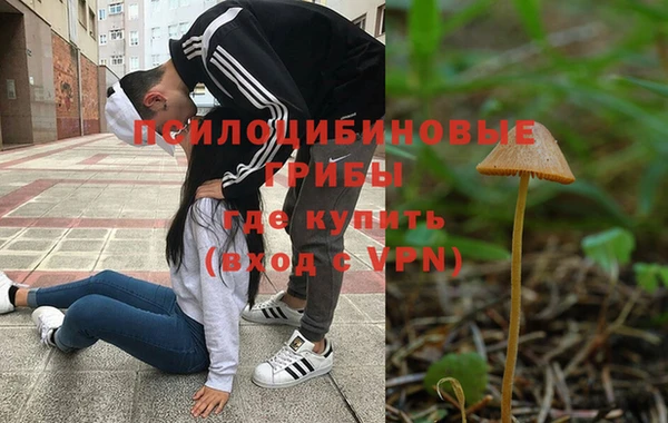 соль курить ск Алзамай