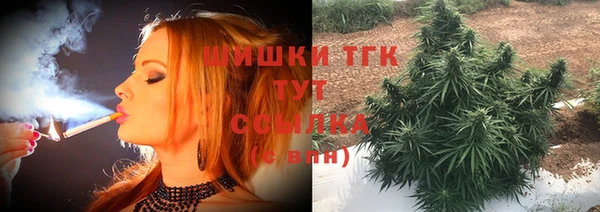 спайс Алексин