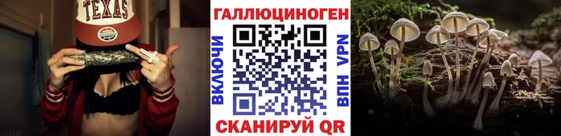 Псилоцибиновые грибы мицелий Выкса