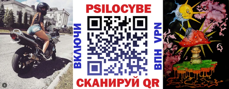 гидра ссылка  что такое   Выкса  Галлюциногенные грибы Psilocybine cubensis 