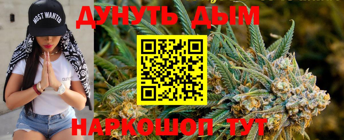 Каннабис сатива  Каннабис марихуана  Вход с VPN  МАРИХУАНА Bruce Banner  Выкса  Каннабис план 